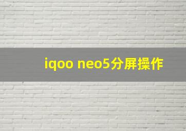 iqoo neo5分屏操作